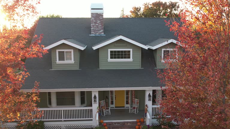 Best Rubber Roofing (EPDM, TPO)  in Ogden Dunes, IN
